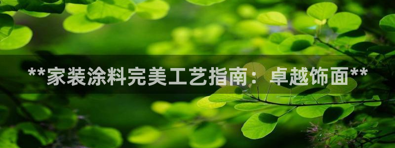和记Ag：**家装涂料完美工艺指南：卓越饰面**