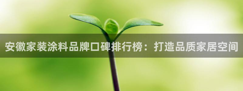 和记(福建)商贸有限公司：安徽家装涂料品牌口碑排行榜：打造品质家居空间