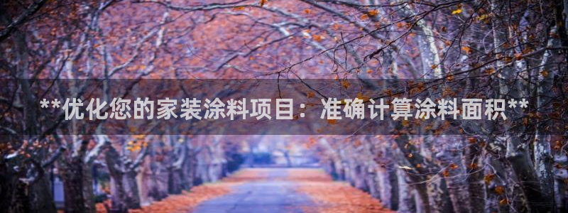 和记国际：**优化您的家装涂料项目：准确计算涂料面积**