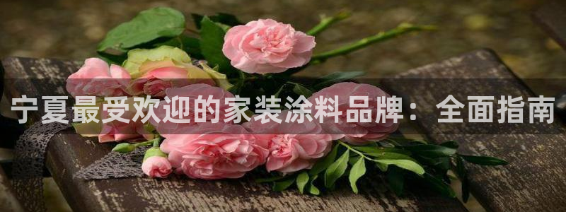和记国际开户：宁夏最受欢迎的家装涂料品牌：全面指南