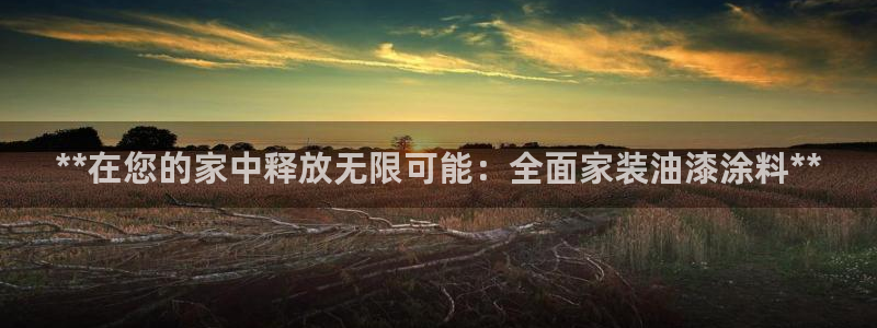和记网页版：**在您的家中释放无限可能：全面家装油漆涂料**