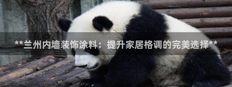 和记国际听