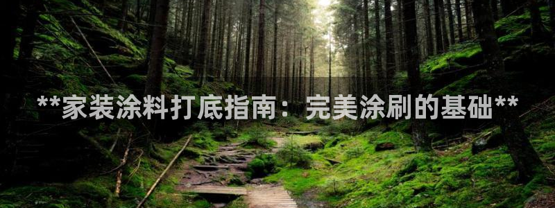 和记平台登录：**家装涂料打底指南：完美涂刷的基础**
