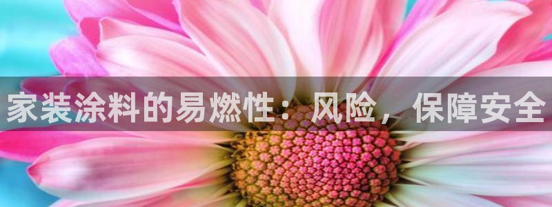 和记平台登陆：家装涂料的易燃性：风险，保障安全