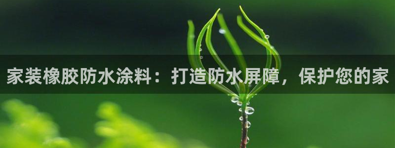 和记ag旗舰：家装橡胶防水涂料：打造防水屏障，保护您的家