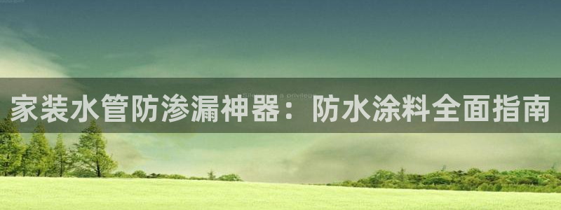 和记旗舰厅：家装水管防渗漏神器：防水涂料全面指南
