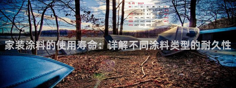 和记广告女主角