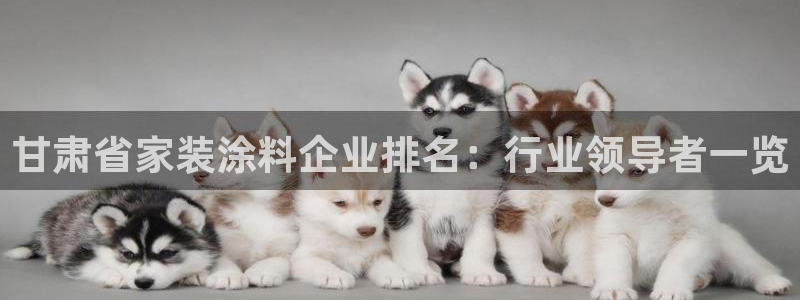 和记ag网址：甘肃省家装涂料企业排名：行业领导者一览