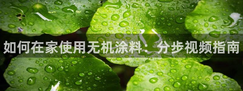 和记平台登陆：如何在家使用无机涂料：分步视频指南