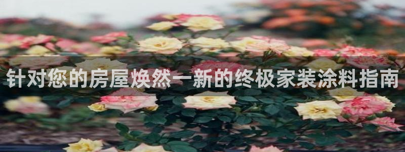 和记h88游戏：针对您的房屋焕然一新的终极家装涂料指南