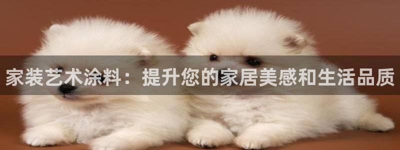 和记ag网址：家装艺术涂料：提升您的家居美感和生活品质