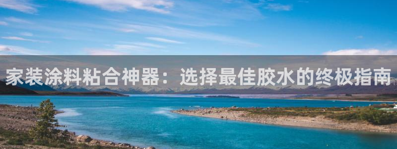 和记官网官方网站：家装涂料粘合神器：选择最佳胶水的终极指南
