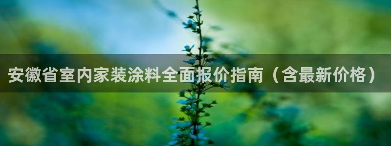 和记电业集团：安徽省室内家装涂料全面报价指南（含最新价格）