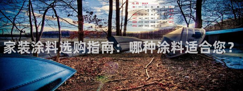 和记官网官方网站：家装涂料选购指南：哪种涂料适合您？
