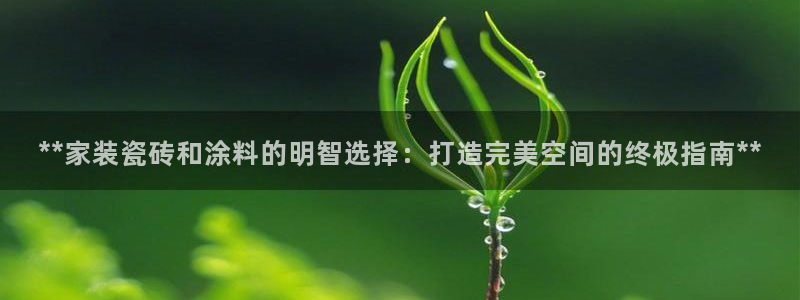 江苏和记数码科技有限公司：**家装瓷砖和涂料的明智选择：打造完美空间的终极指南**