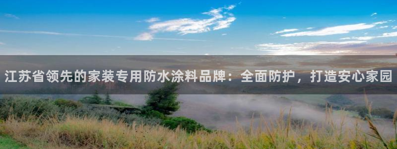 和记ag：江苏省领先的家装专用防水涂料品牌：全面防护，打造安心家园