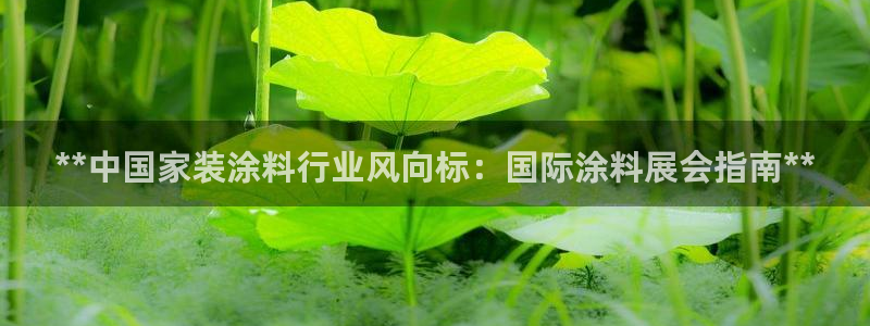和记ag：**中国家装涂料行业风向标：国际涂料展会指南**