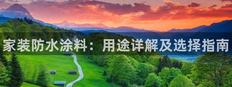 和记官网 公司：家装防水涂料：用途详解及选择指南