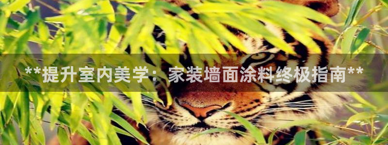 和记H88：**提升室内美学：家装墙面涂料终极指南**