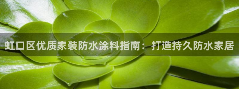和记Ag：虹口区优质家装防水涂料指南：打造持久防水家居