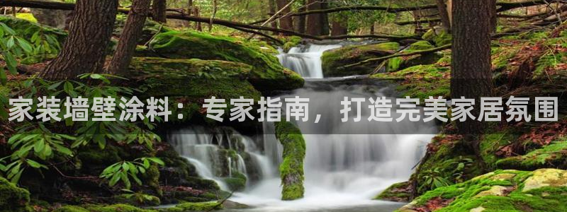和记app官网：家装墙壁涂料：专家指南，打造完美家居氛围