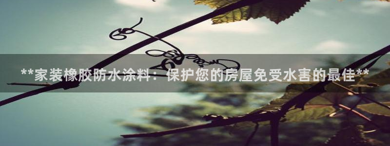 和记paging：**家装橡胶防水涂料：保护您的房屋免受水害