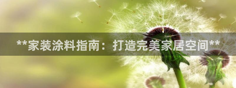 和记国际听：**家装涂料指南：打造完美家居空间**