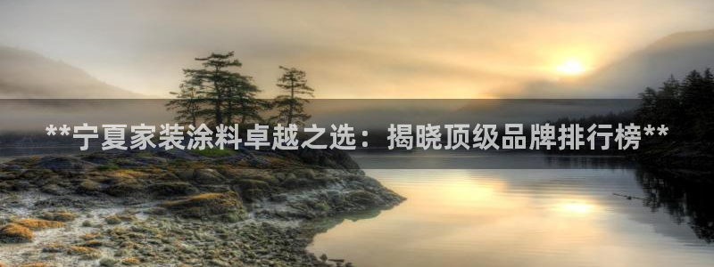 和记下载：**宁夏家装涂料卓越之选：揭晓顶级品牌排行榜**