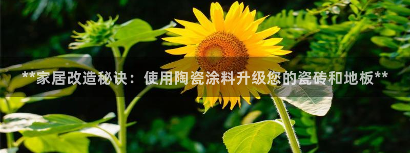 和记平台下载：**家居改造秘诀：使用陶瓷涂料升级您的瓷砖和地板**