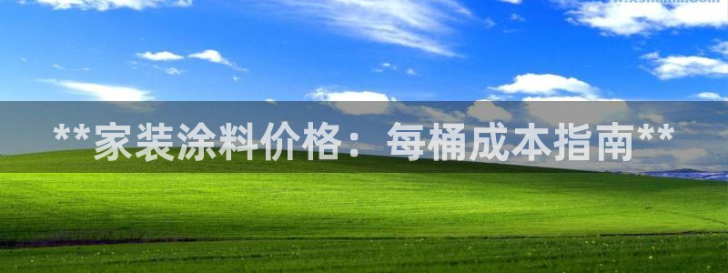 和记国际听：**家装涂料价格：每桶成本指南**