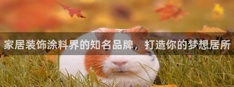 和记(福建)商贸有限公司招聘：家居装饰涂料界的知名品牌，打造