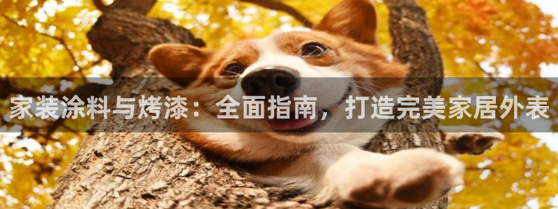 ag和记app