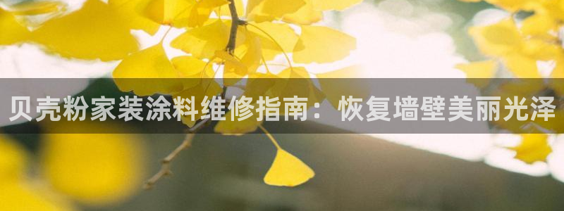 和记hj：贝壳粉家装涂料维修指南：恢复墙壁美丽光泽