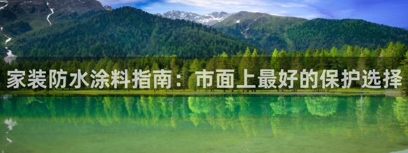 和记 官网：家装防水涂料指南：市面上最好的保护选择
