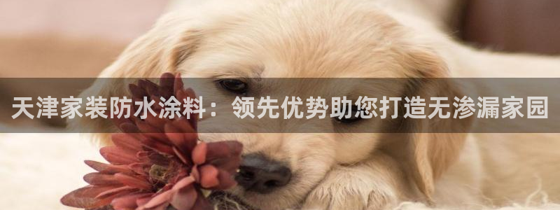 和记平台下载