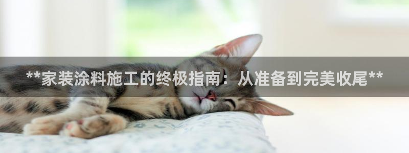 和记官方直营注册：**家装涂料施工的终极指南：从准备到完美收尾**
