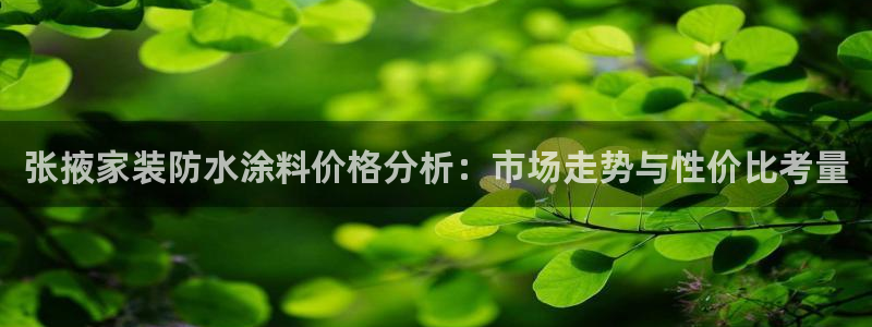 和记官方：张掖家装防水涂料价格分析：市场走势与性价比考量