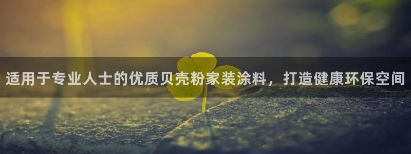 和记国际开户：适用于专业人士的优质贝壳粉家装涂料，打造健康环保空间