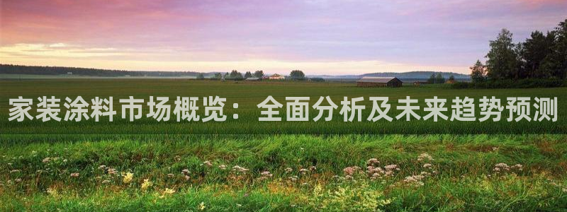 和记平台官网：家装涂料市场概览：全面分析及未来趋势预测