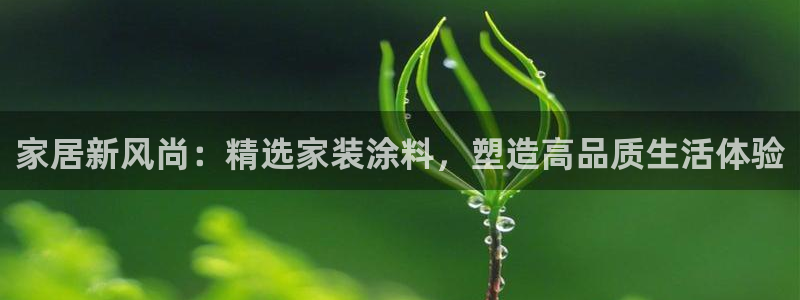 和记网页：家居新风尚：精选家装涂料，塑造高品质生活体验