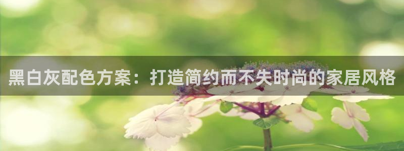 和记官方平台：黑白灰配色方案：打造简约而不失时尚的家居风格