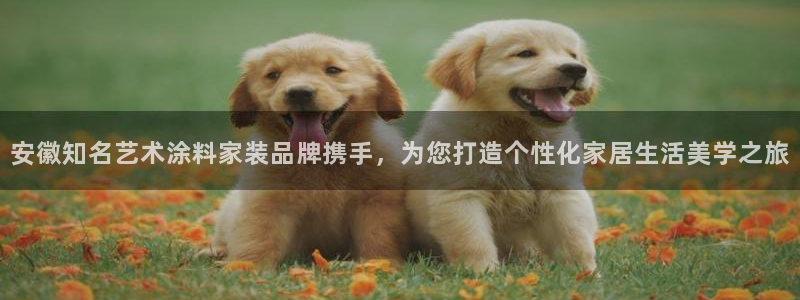 上海和记餐饮有限公司：安徽知名艺术涂料家装品牌携手，为您打造个性化家居生活美学之旅