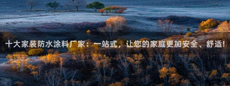 和记ag旗舰国际：十大家装防水涂料厂家：一站式，让您的家庭更