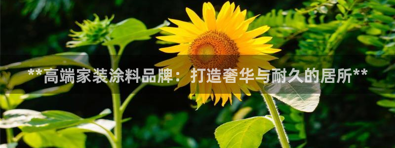 和记国际开户