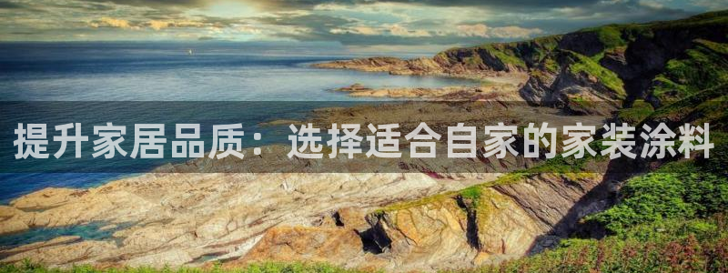 和记国际电讯市值：提升家居品质：选择适合自家的家装涂料