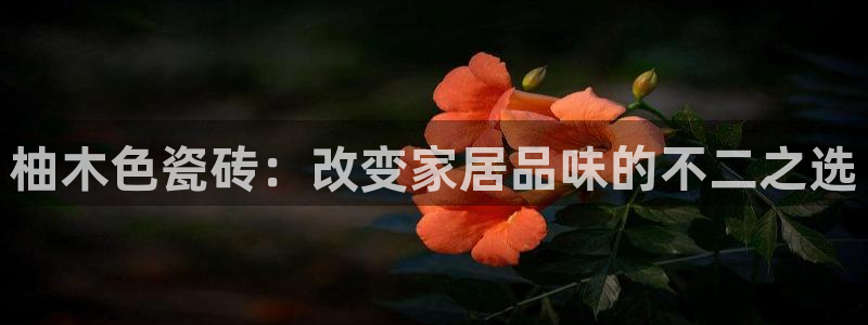 和记官网：柚木色瓷砖：改变家居品味的不二之选