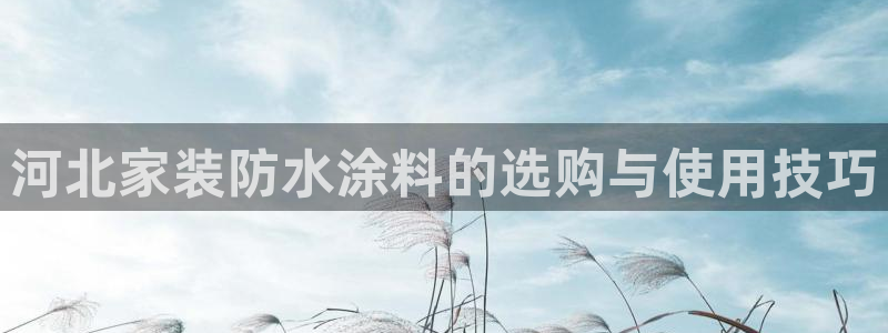 和记平台：河北家装防水涂料的选购与使用技巧
