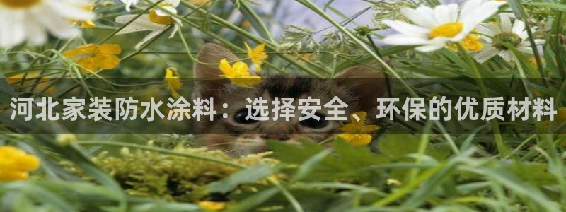 和记 官网：河北家装防水涂料：选择安全、环保的优质材料