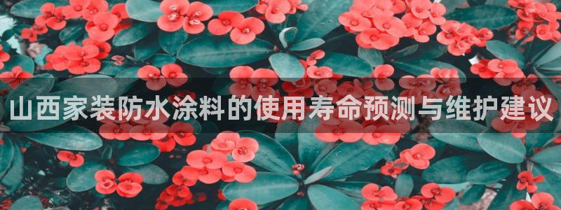 和记官方