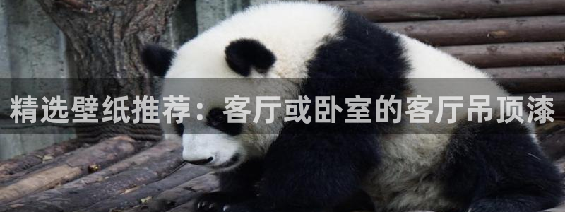 和记官网